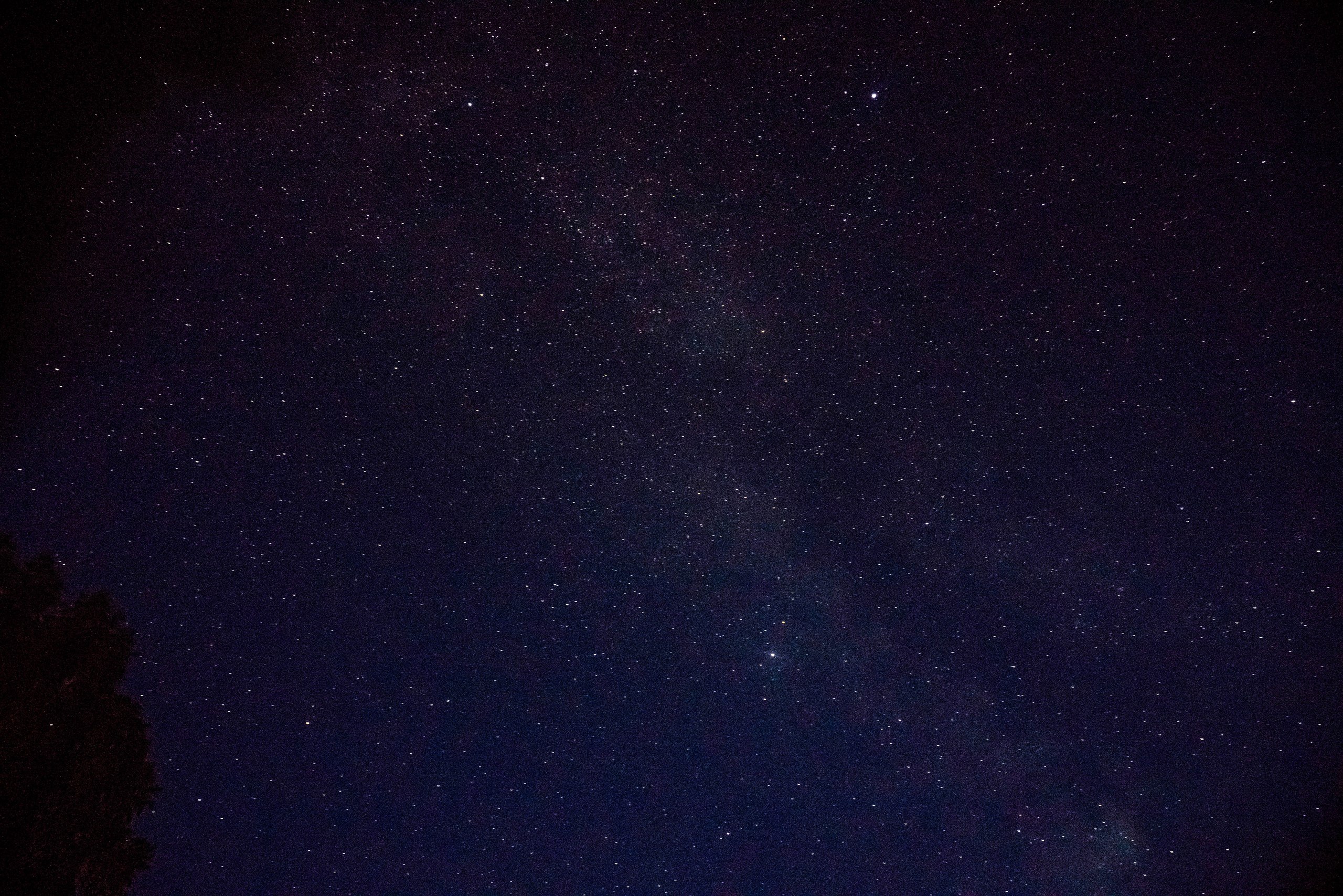 Подними голову. Фотоподборка звёздного неба над Омской областью