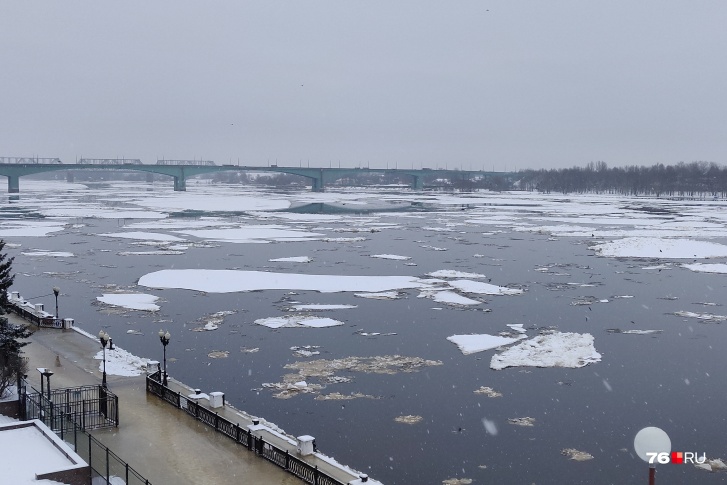 В Рыбинске уже плюс 8 сантиметров: вода в Волге снова поднимается