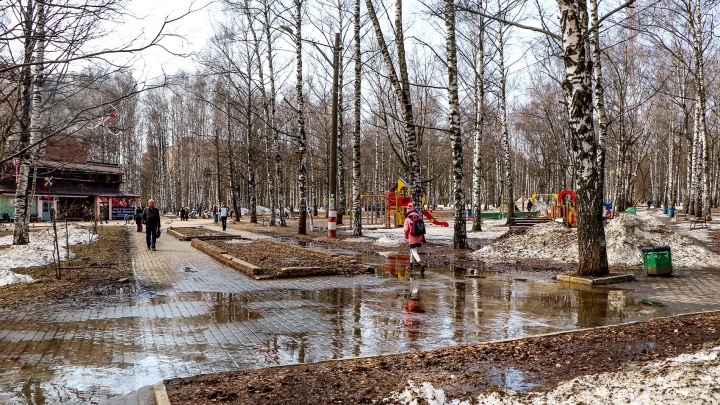 NN.RU показывает, как должен выглядеть парк Пушкина после благоустройства