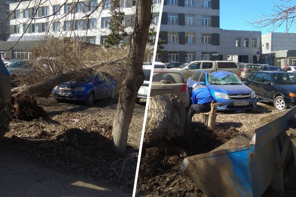 Возможно, водитель еще не знает, что произошло с его автомобилем Возможно, водитель еще не знает, что произошло с его автомобилем