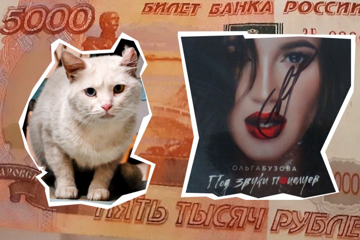 Ростовчане продают очень много удивительных вещей: кота, у которого есть квартира, меню советского ресторана и даже деньги Ростовчане продают очень много удивительных вещей: кота, у которого есть квартира, меню советского ресторана и даже деньги