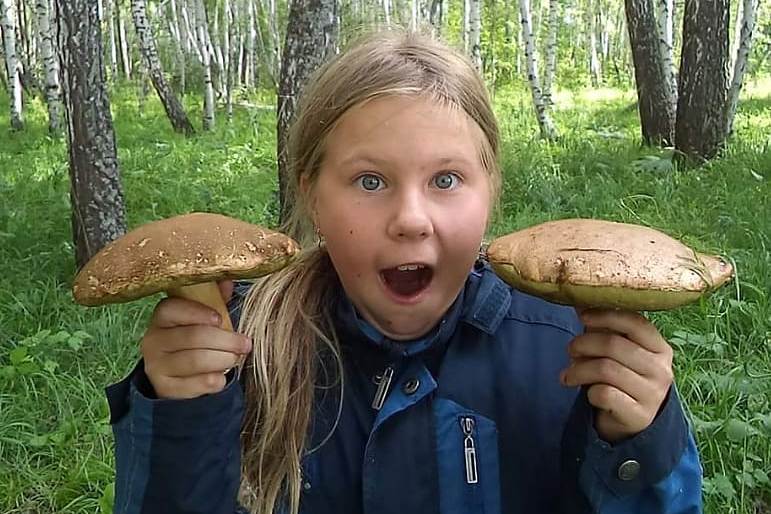 Нашел большой гриб. Самый огромный гриб. Покажи самые большие грибы. Мальчик нашел гриб. Большой гриб смешной.