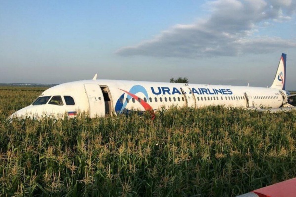 Пилотам пришлось посадить самолёт в поле после того, как у него отказали оба двигателя Пилотам пришлось посадить самолёт в поле после того, как у него отказали оба двигателя