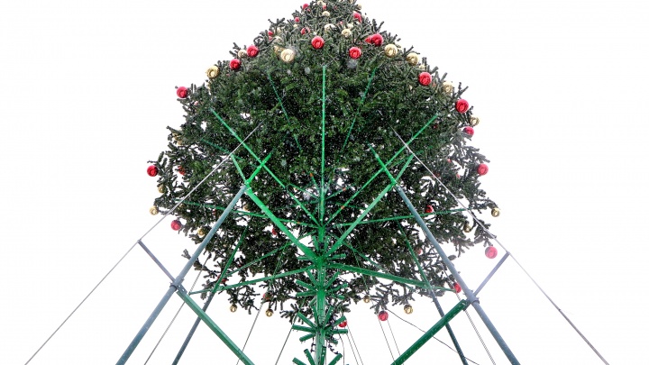 Вся подноготная главной нижегородской новогодней елки: как она выглядит изнутри