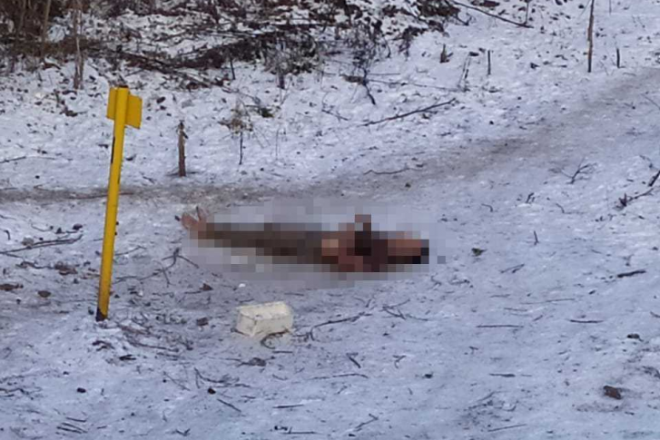 Тело лежало на снегу в неестественной позе и без верхней одежды Тело лежало на снегу в неестественной позе и без верхней одежды
