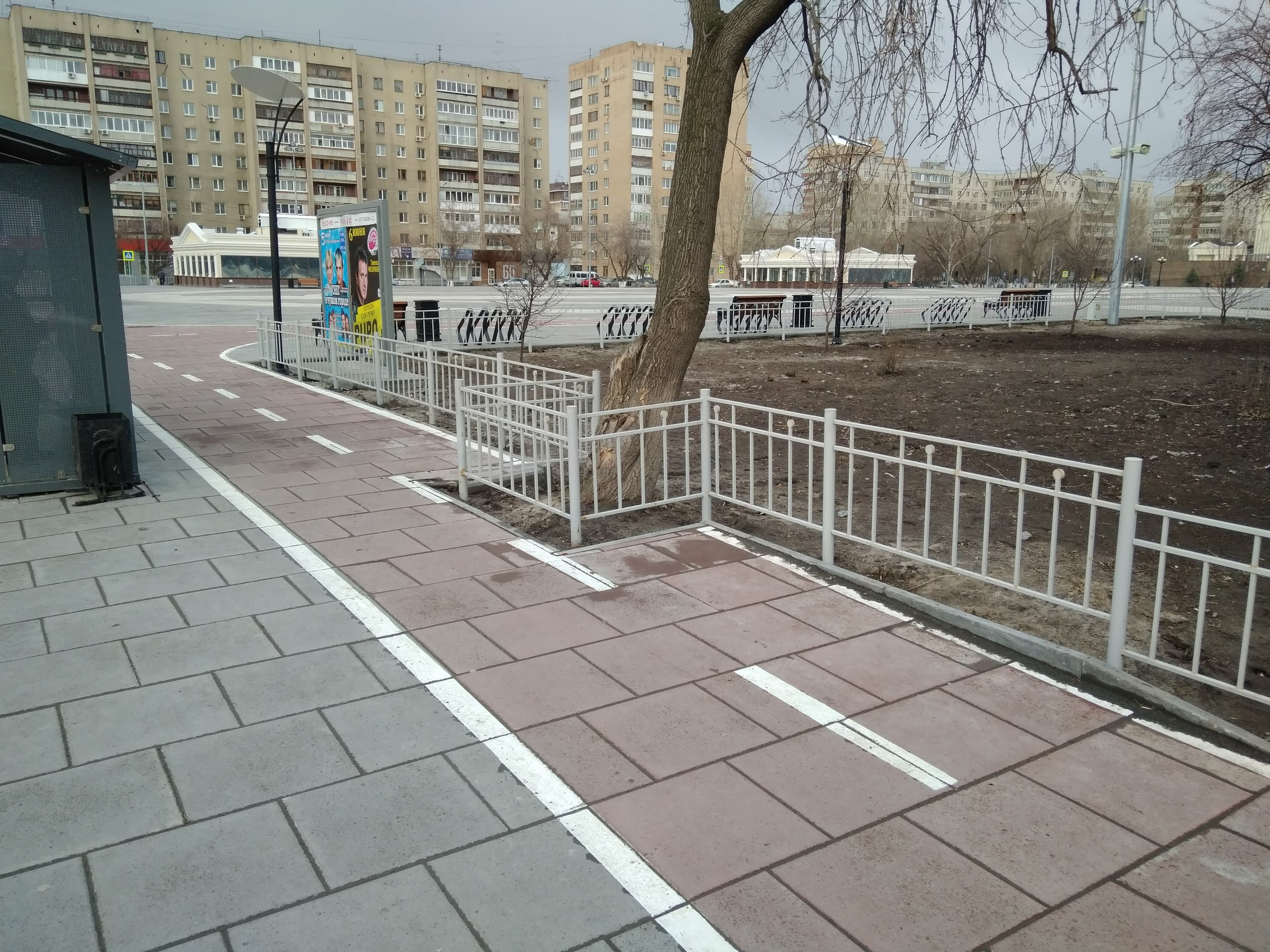 Дерево сохранили и даже огородили Дерево сохранили и даже огородили