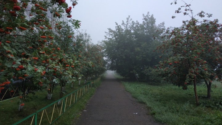 Утренний туман накрыл Красноярск. Любуемся красивыми фотографиями