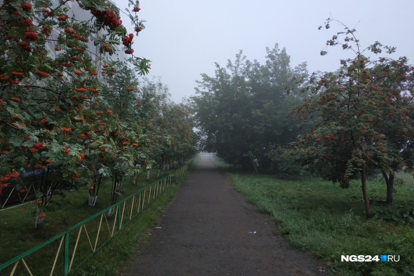 Туман в Северном Туман в Северном