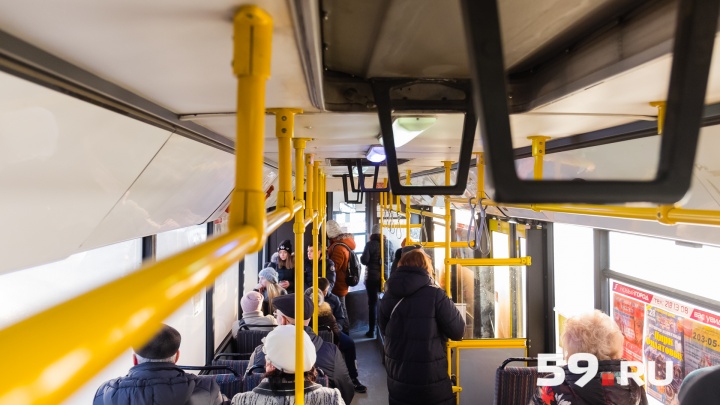 В Прикамье запустили приложение «Яндекс.Автобусы». Как найти рейсы и купить билеты?