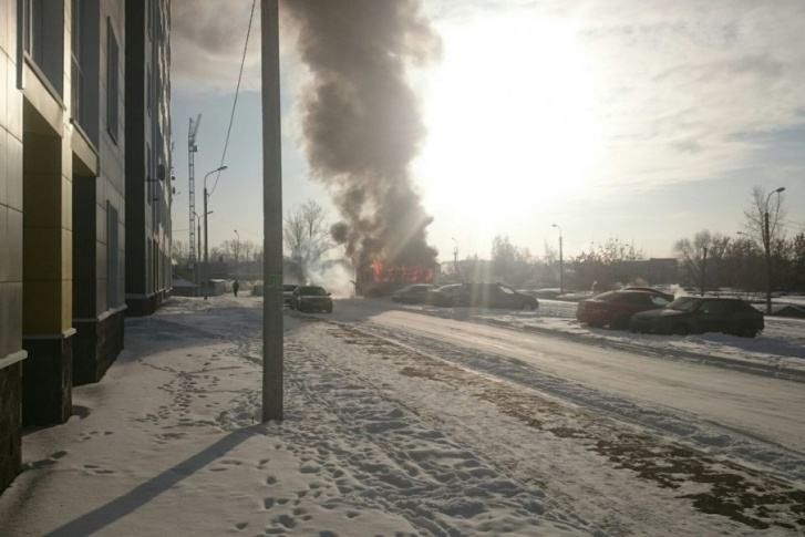 Водитель автобуса до сих пор не может поверить в случившееся Водитель автобуса до сих пор не может поверить в случившееся