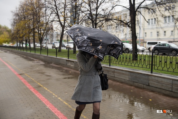 Скорость ветра будет достигать 22 метров в секунду Скорость ветра будет достигать 22 метров в секунду