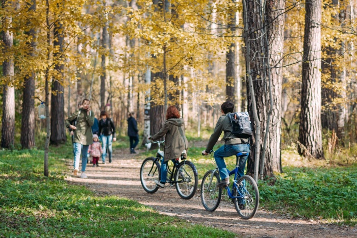 В Юго-Западном лесопарке хотят построить мост для животных и обустроить экстрим-трассу В Юго-Западном лесопарке хотят построить мост для животных и обустроить экстрим-трассу