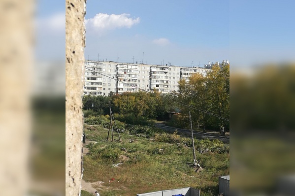 Рабочие не показывают местным жителям разрешений на снос деревьев Рабочие не показывают местным жителям разрешений на снос деревьев