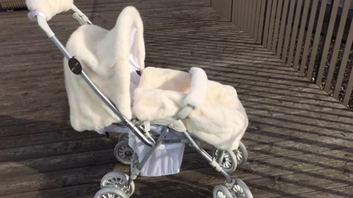 Роскошь для младенца: в Ярославле продают коляску за полмиллиона рублей