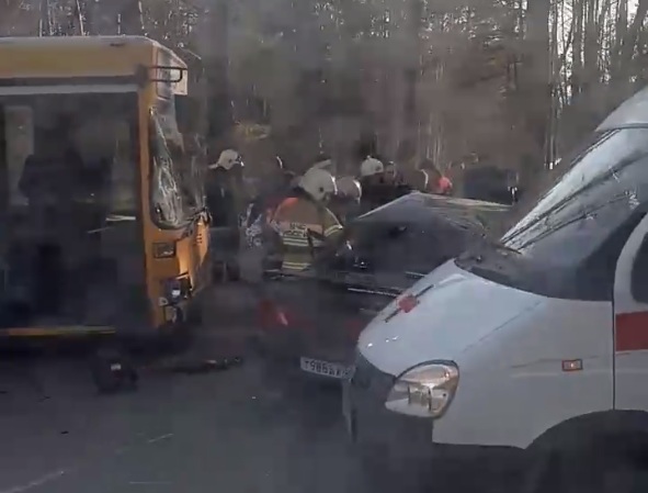 У автобуса от удара разбилось лобовое стекло У автобуса от удара разбилось лобовое стекло