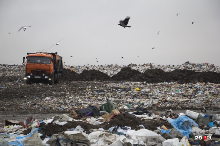 В правительстве области хотят создать межмуниципальный мусорный полигон вместо существующих в Архангельске, Северодвинске и Новодвинске