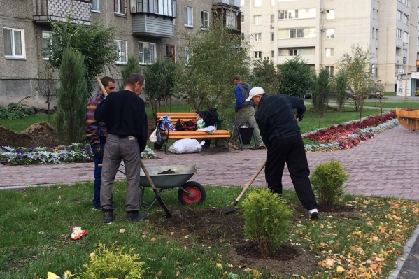 Объём высаживаемых деревьев в Кургане будет ежегодно увеличиваться по сравнению со снесёнными Объём высаживаемых деревьев в Кургане будет ежегодно увеличиваться по сравнению со снесёнными