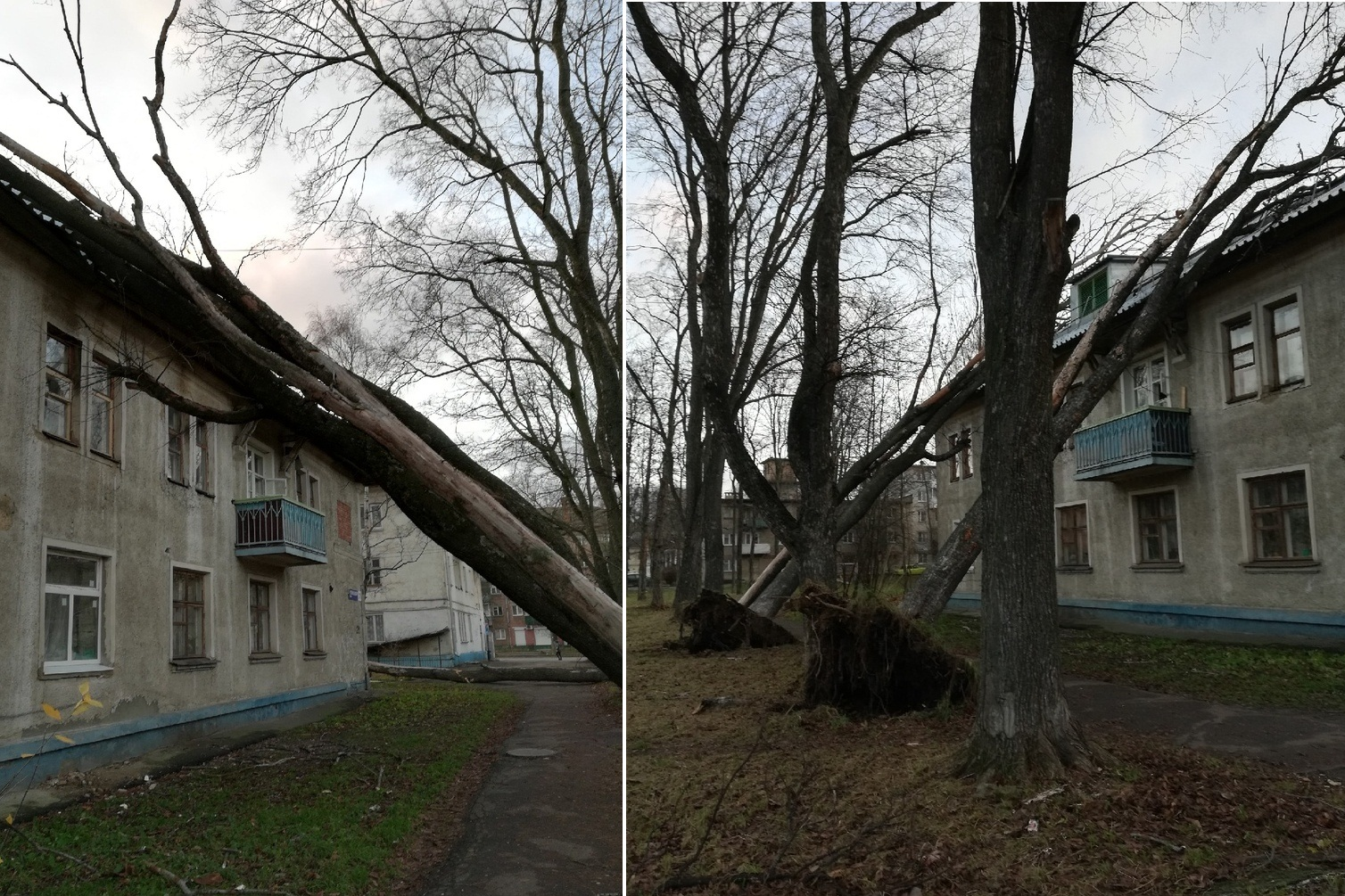 Буря ярославль сегодня. Ураган в Ярославле. Ураган в Ярославской области. Последствия урагана в Ярославской области. Ураган в Ярославле сейчас.