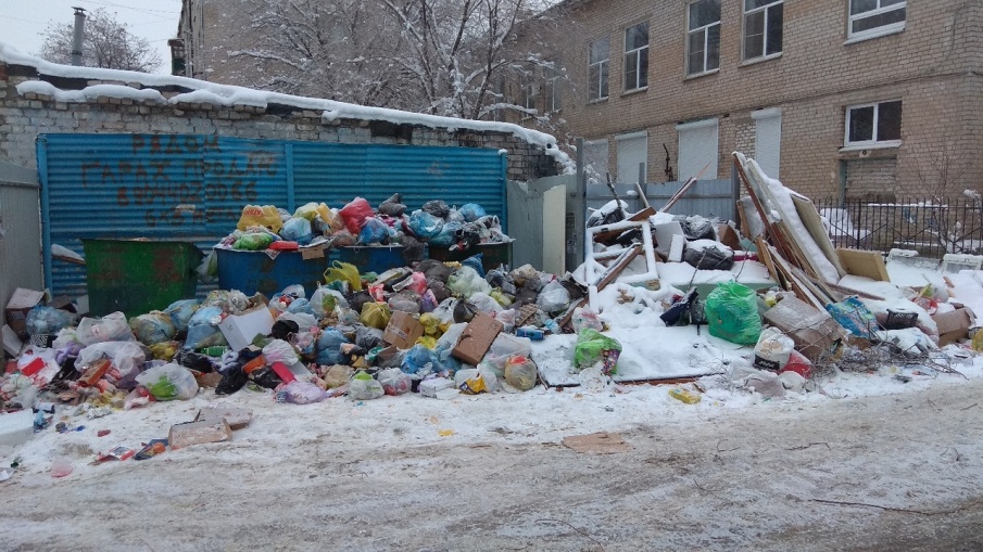 Волгоград с Нового года зарос невывезенным мусором - фото 4