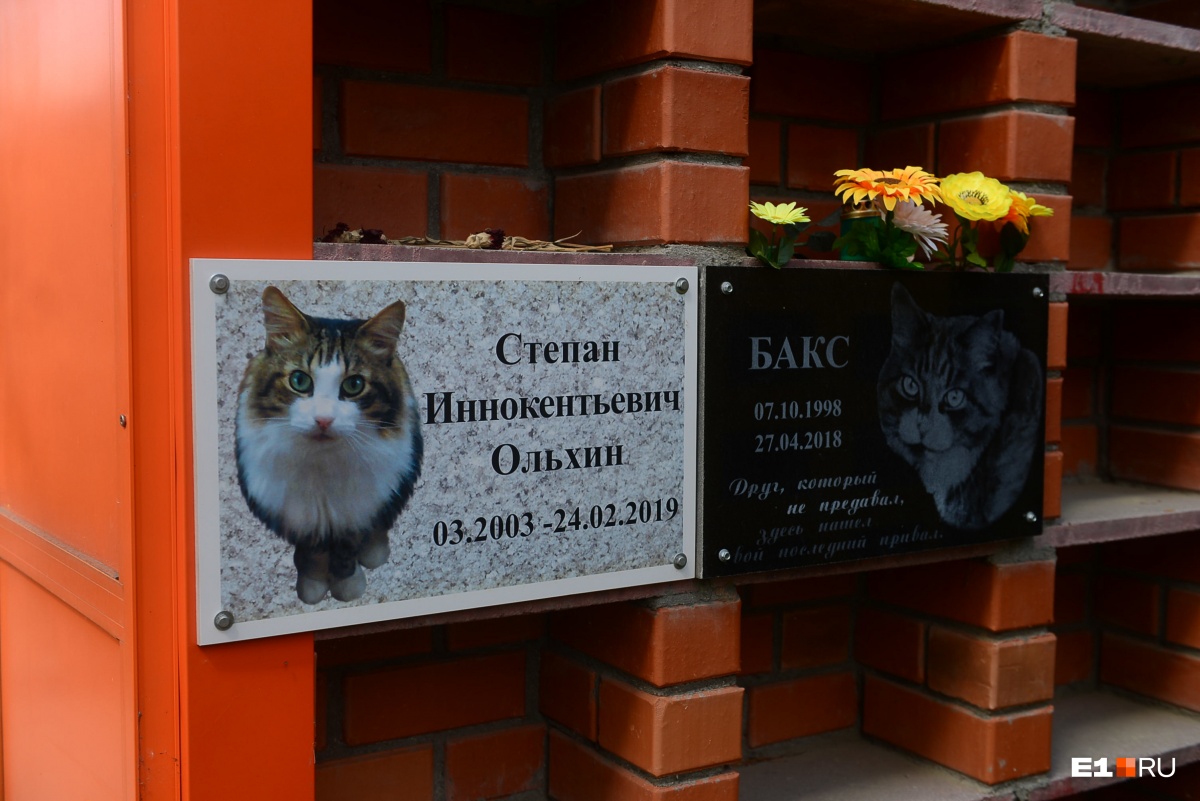 Кладбище домашних животных: зачем екатеринбуржцы ставят памятники питомцам и сколько за это платят
