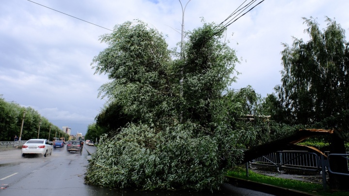 В Перми во время урагана пострадали три человека