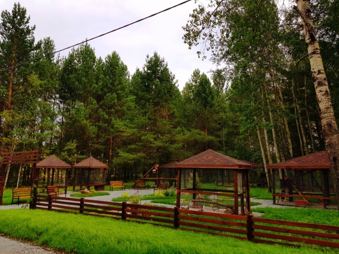 Сосны рухнули