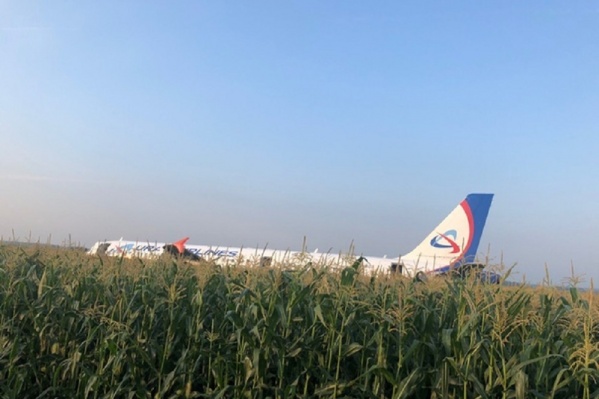 Командир Airbus A321 Дамир Юсупов <a href="https://www.e1.ru/news/spool/news_id-66199957.html" target="_blank" class="_">рассказал, как ему удалось посадить самолет</a> Командир Airbus A321 Дамир Юсупов <a href="https://www.e1.ru/news/spool/news_id-66199957.html" target="_blank" class="_">рассказал, как ему удалось посадить самолет</a>