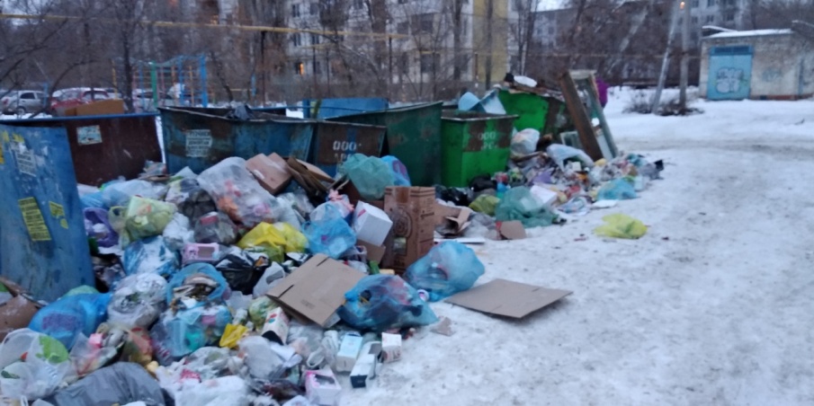 Волгоград с Нового года зарос невывезенным мусором - фото 6