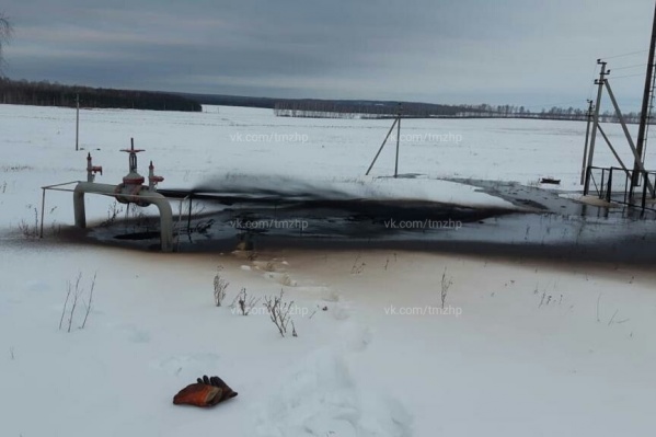 Это не первый подобный случай в этом районе Это не первый подобный случай в этом районе
