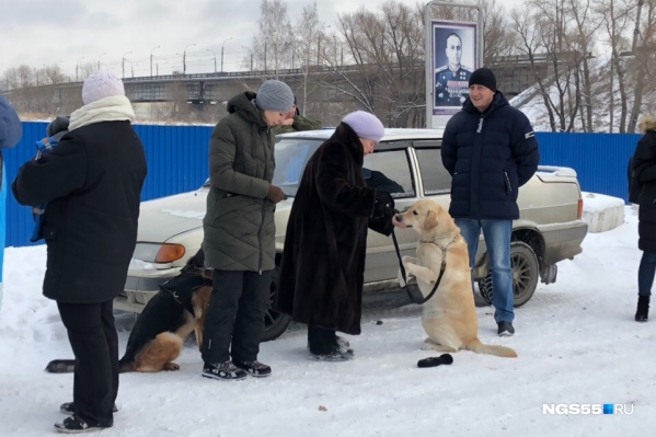 Члены клуба служебного собаководства пришли со своими питомцами — теперь им негде заниматься Члены клуба служебного собаководства пришли со своими питомцами — теперь им негде заниматься