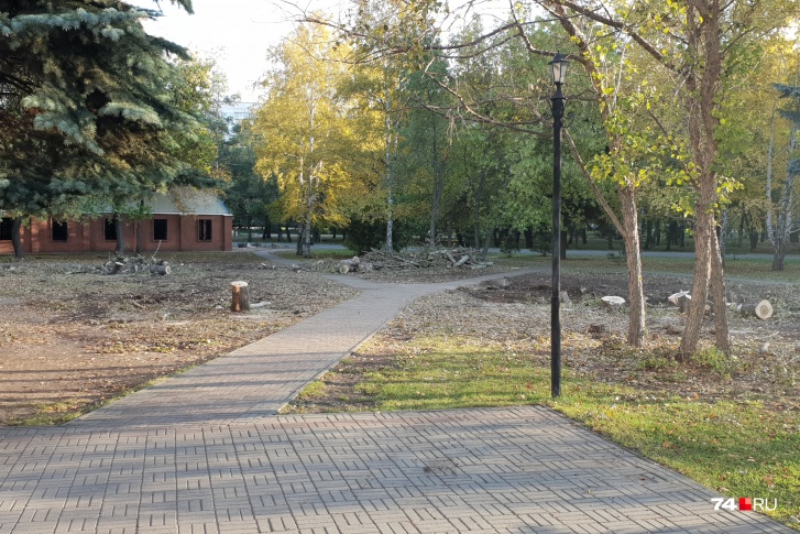 По словам челябинки, в Саду Победы вырубили уже несколько десятков деревьев