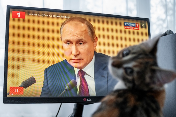 Не каждый котик будет спать, пока вещает Путин