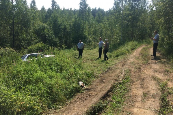 Женщина пыталась развернуться на полянке, но перепутали педали Женщина пыталась развернуться на полянке, но перепутали педали 