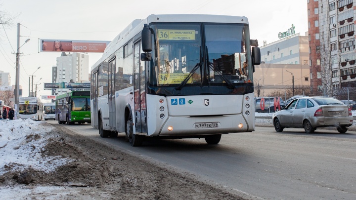 «Нельзя менять 77-й и 32-й»: в Орджоникидзевском районе прошли слушания по новой маршрутной сети