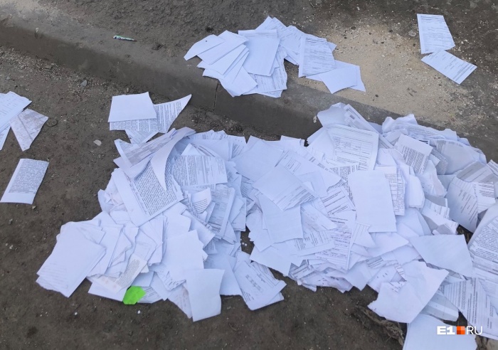 Документы выпали из пакетов и разлетелись по двору Документы выпали из пакетов и разлетелись по двору