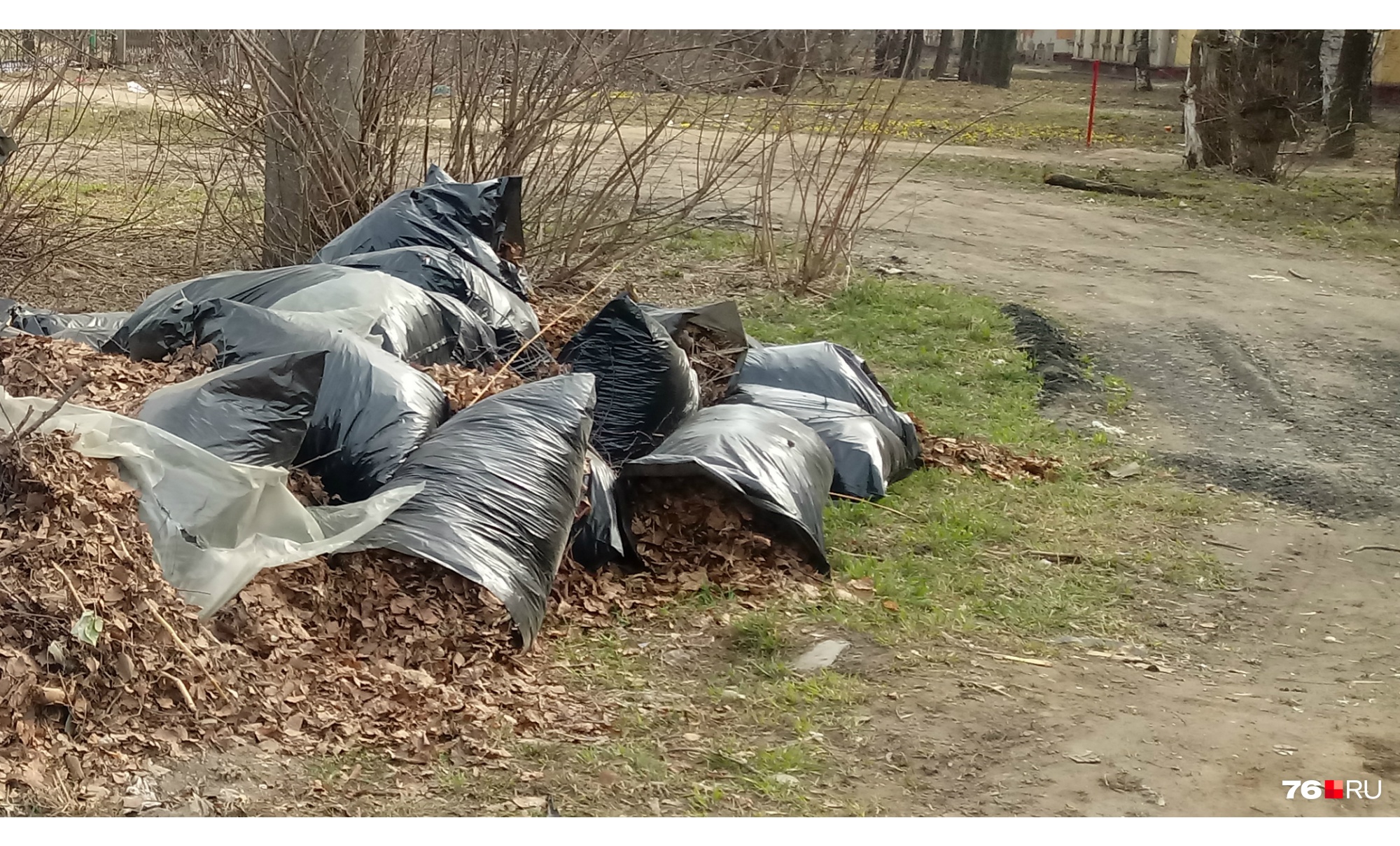 «Так приказало начальство»: в Ярославле грязь и мусор с субботников свалили во дворе жилого дома