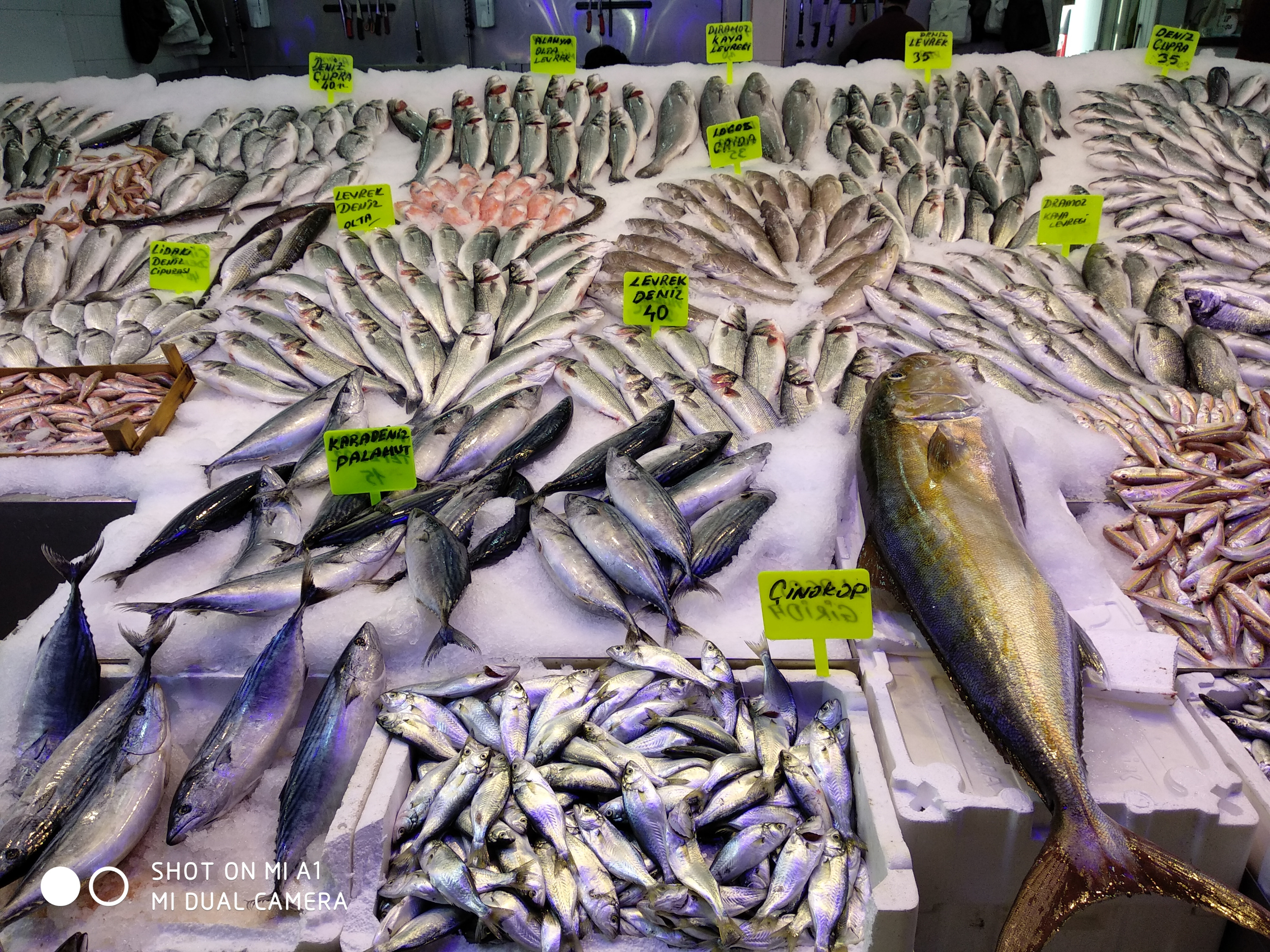 Стоимость рыбы зависит от сезона года. Дороже всего — зимой, в январе и феврале