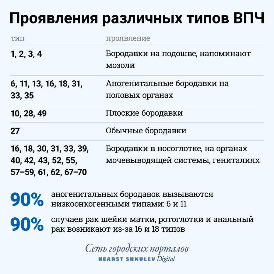 У каждого типа ВПЧ — своё проявление У каждого типа ВПЧ — своё проявление
