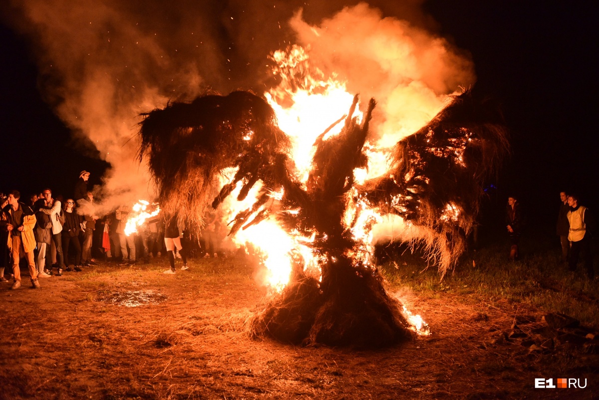 Сжигание дерева. Сожженное дерево. Сожжение дерева. Сожженная древесина.