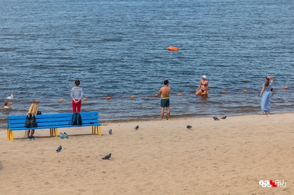 На некоторых городских пляжах воду лучше созерцать, чем в нее заходить На некоторых городских пляжах воду лучше созерцать, чем в нее заходить