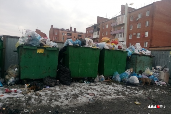 Мусор вывозят не чаще раза в неделю Мусор вывозят не чаще раза в неделю