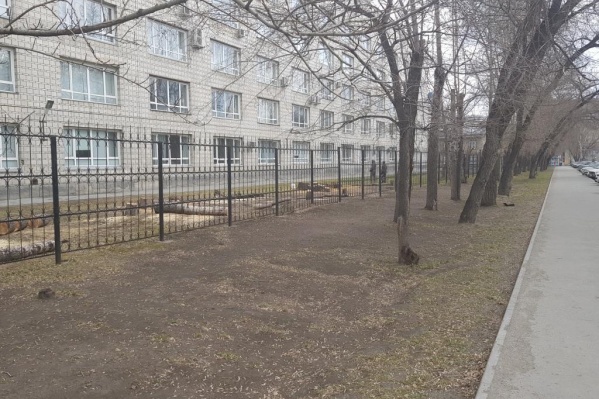 В этом году благоустроят территорию НГТУ за забором, в следующем планируют взяться за небольшой участок вдоль тротуара В этом году благоустроят территорию НГТУ за забором, в следующем планируют взяться за небольшой участок вдоль тротуара