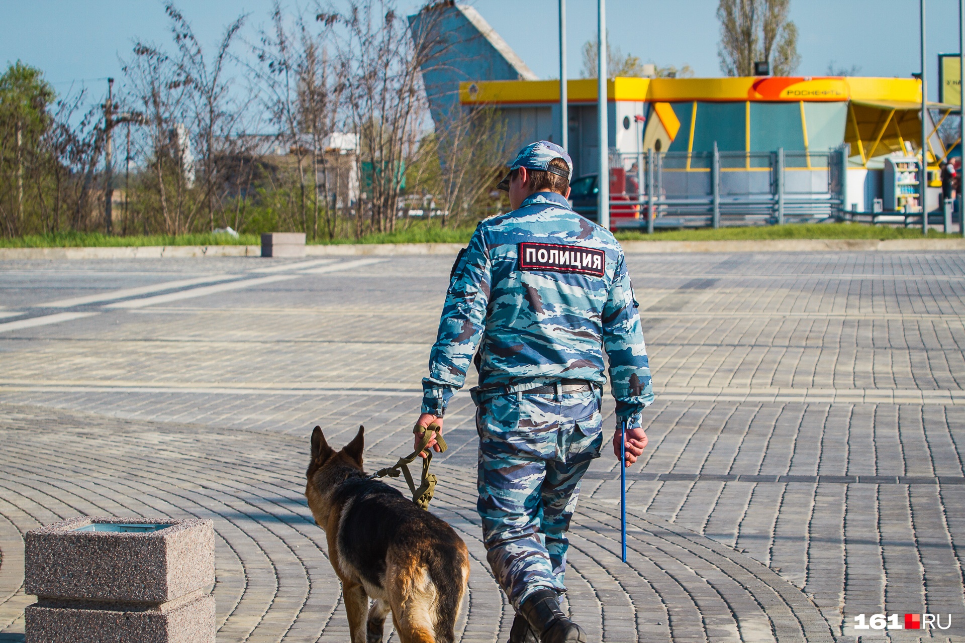 Житель Ростовской области натравил на полицейского собаку