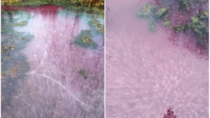 Инопланетный пейзаж: розовый лёд сковал озеро в Арзамасе