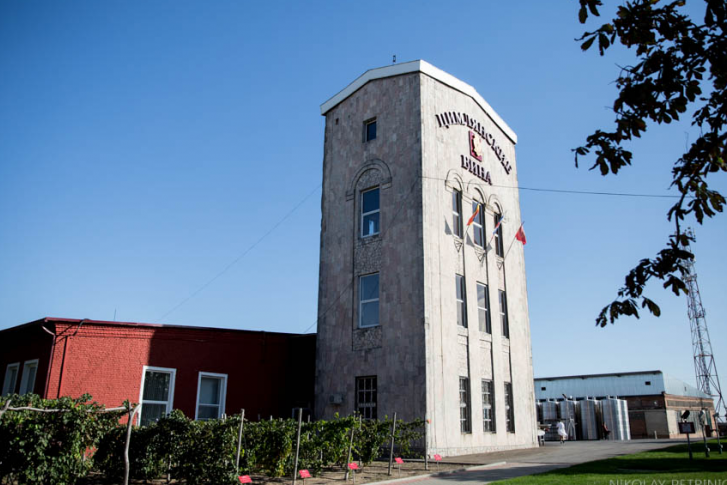 Винный завод признали банкротом в конце июня