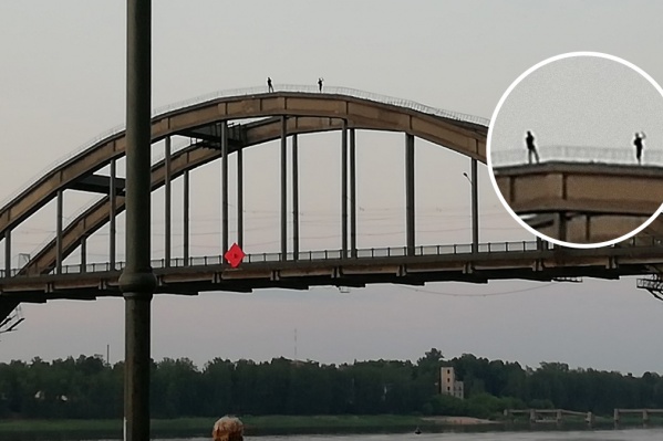 Люди залезли на высоту в 20 метров над Волгой Люди залезли на высоту в 20 метров над Волгой