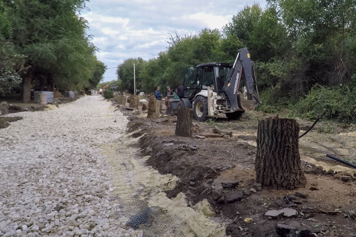 «Новые деревья тоже закроют храм»: волгоградский епископ рассказал о вырубленных на набережной вязах