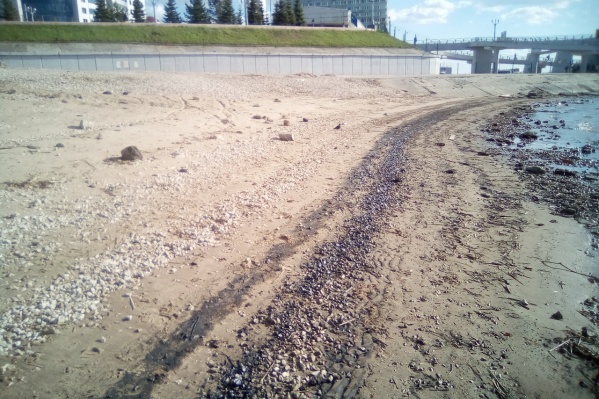 Из-за мазута в Волге и на берегу самарцы опасаются экологической катастрофы Из-за мазута в Волге и на берегу самарцы опасаются экологической катастрофы