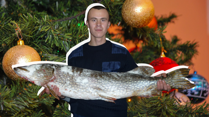 Хорошая новогодняя традиция: житель Котласа ловит огромных рыб накануне праздника