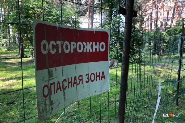 Вот такая сетка появилась в Зеленой Роще Вот такая сетка появилась в Зеленой Роще 